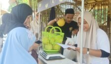 Antusias warge ketika memburu melon di Tabania Farm.(Foto: Istimewa)