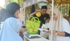 Panen Melon Berbobot 2 Kg, Tabania Farm Jadi Destinasi Agrowisata Baru Tangerang